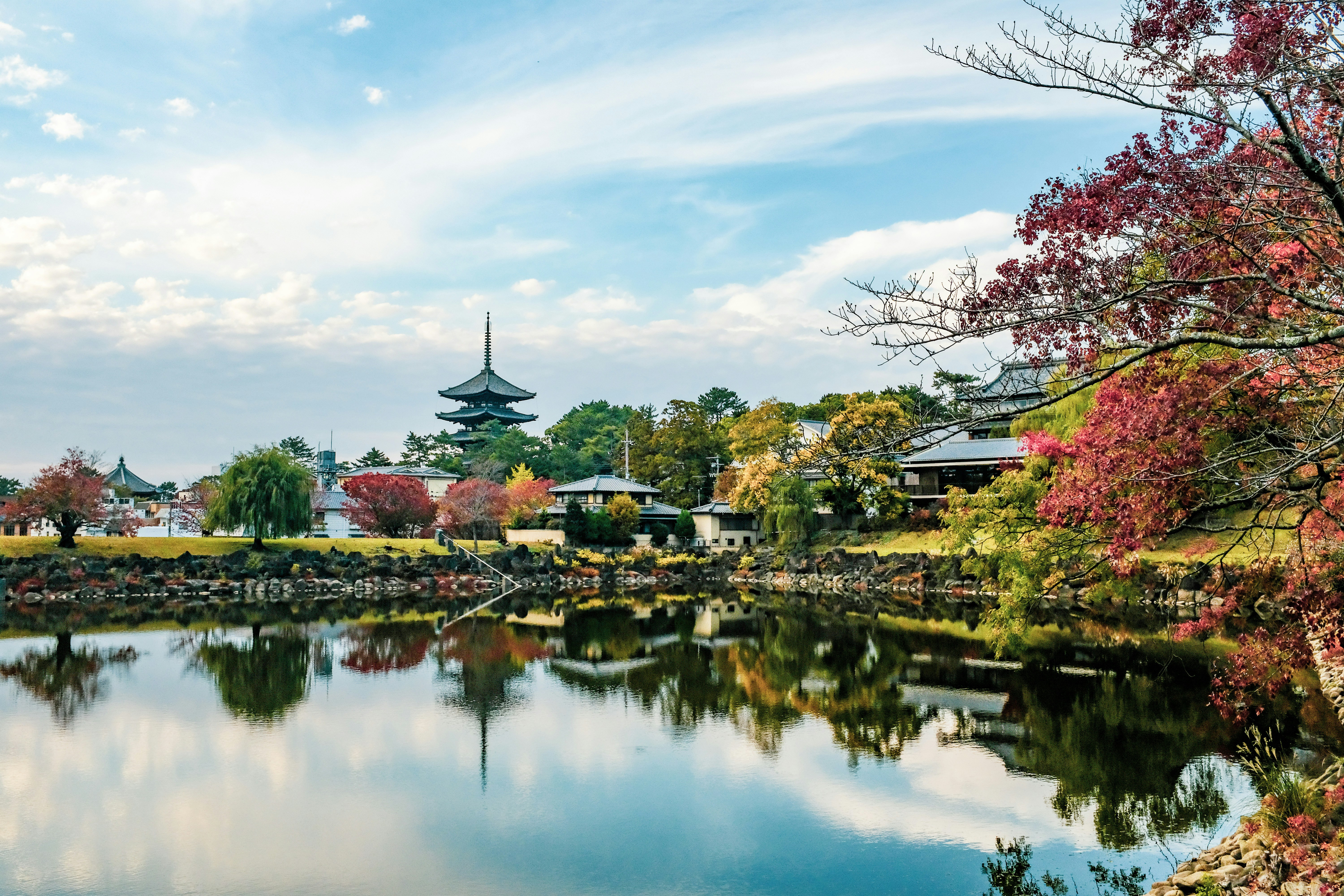 Nara in 2 Days: Where History Walks Beside You