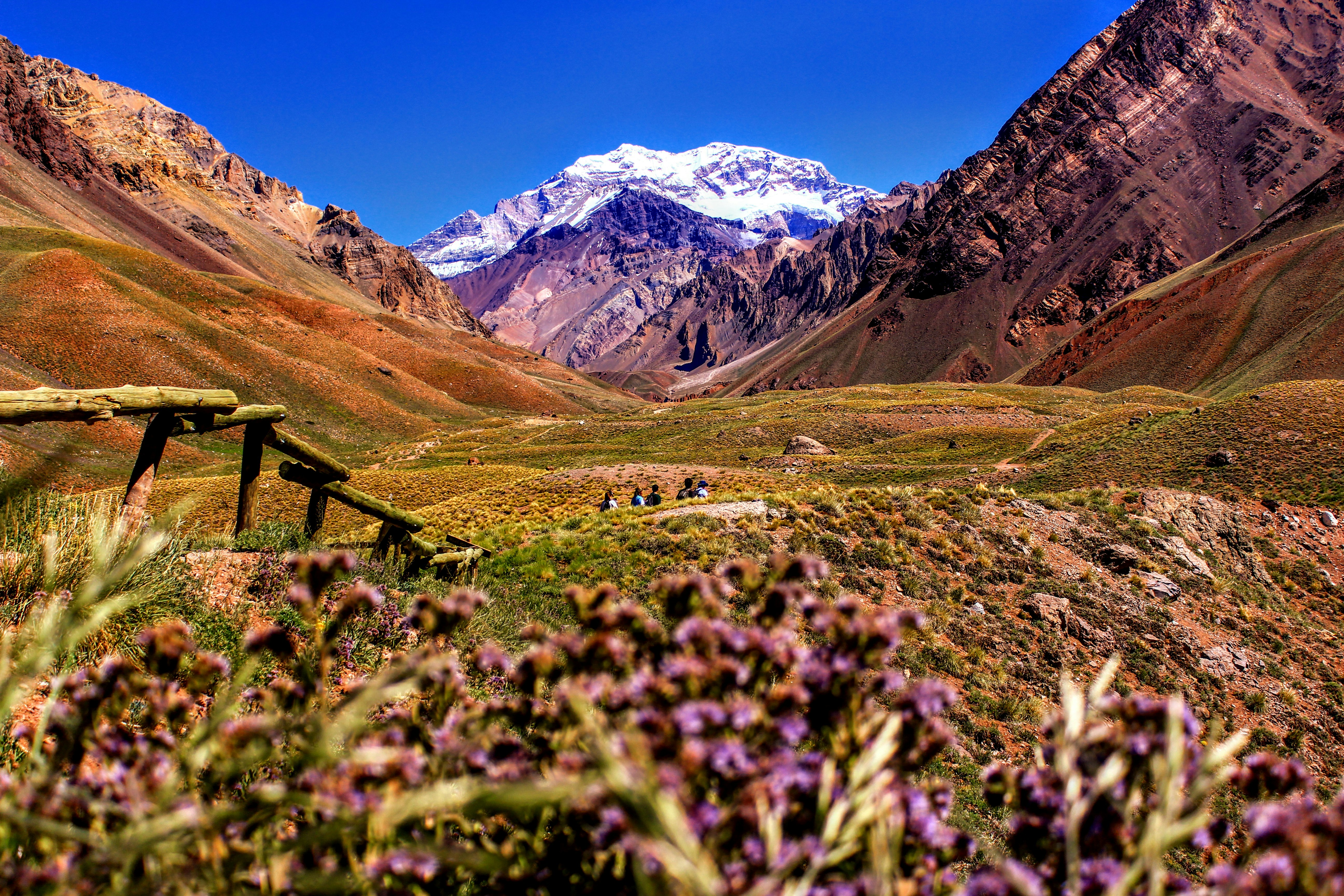 Mendoza in 3 Days: Patience Poured Under the Andes