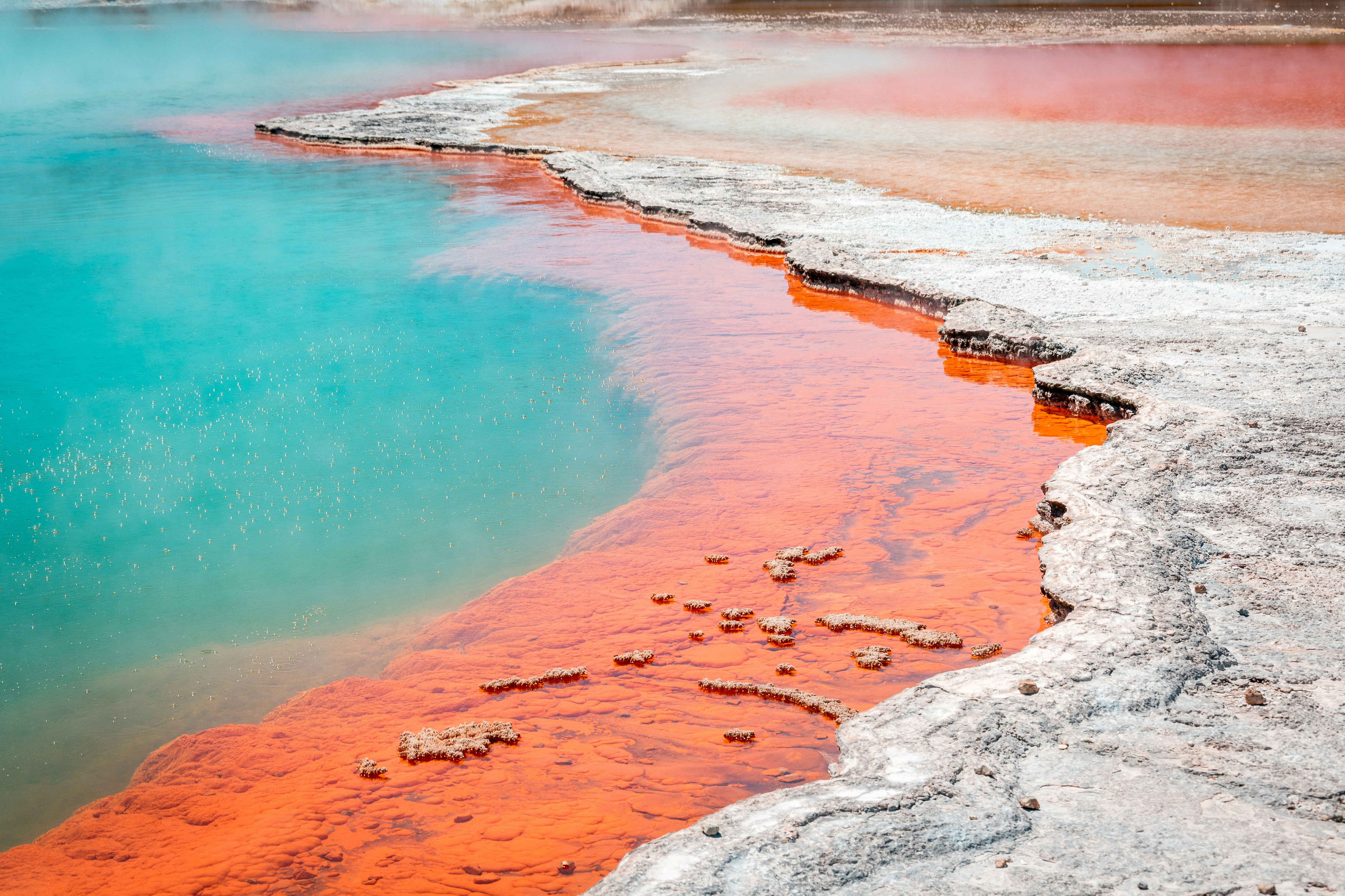 Rotorua in 3 Days: Steam, Ground, and Living Culture