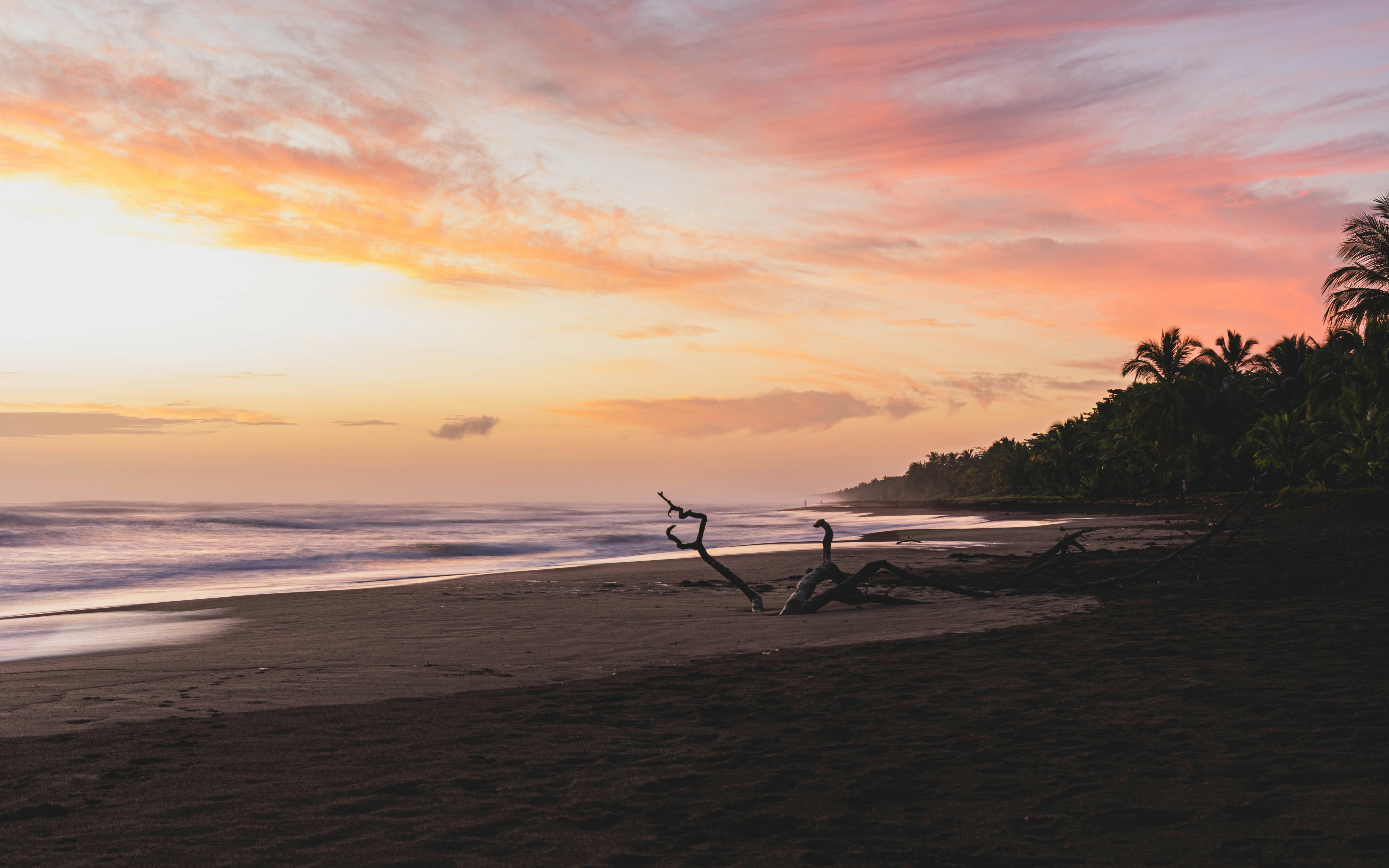 Tortuguero in 3 Days: Waterways, Waiting, and Return