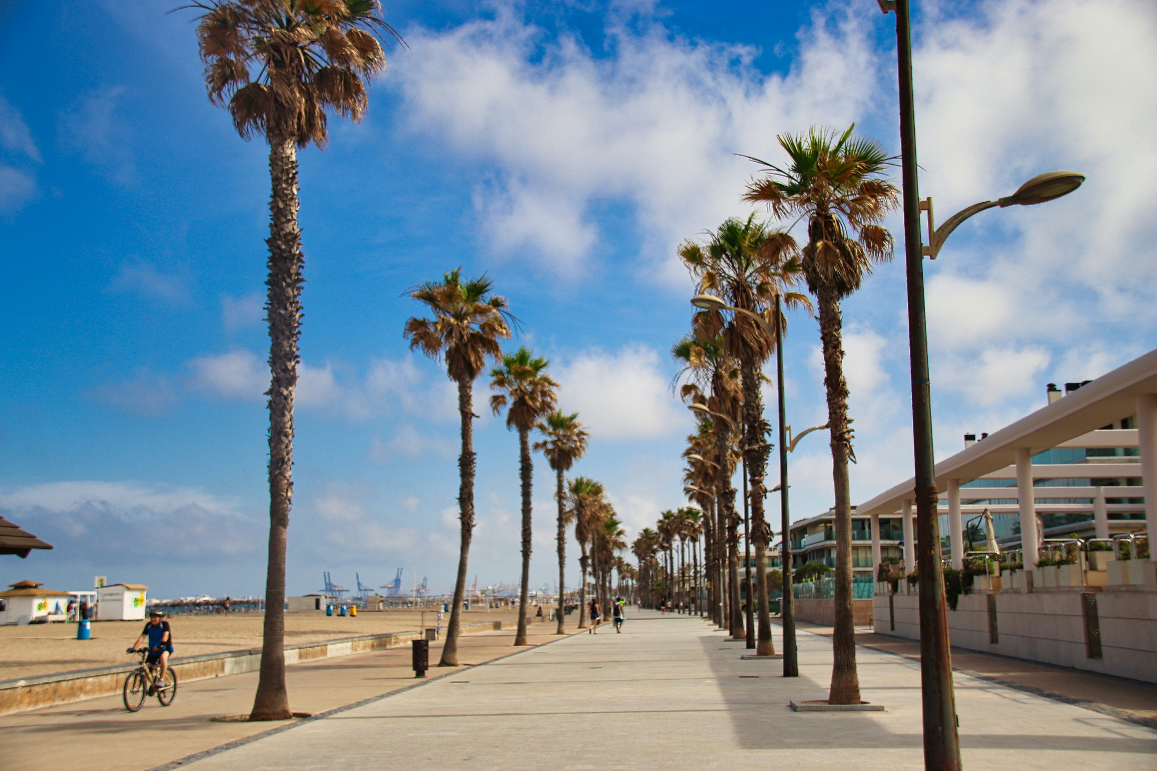 Valencia in 3 Days: Light, Space, and Forward Motion