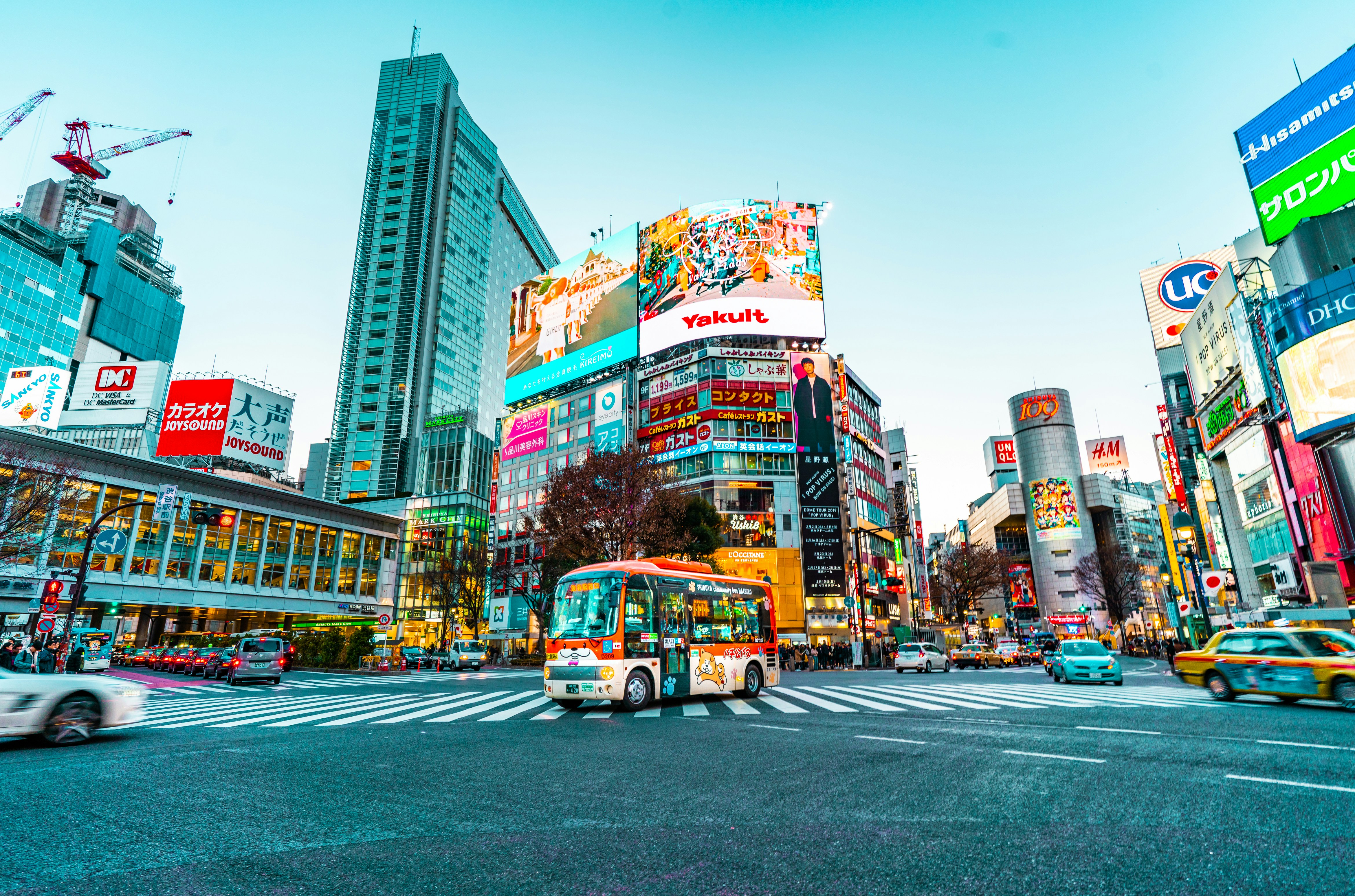 Tokyo in 4 Days: Where Order Holds the Motion