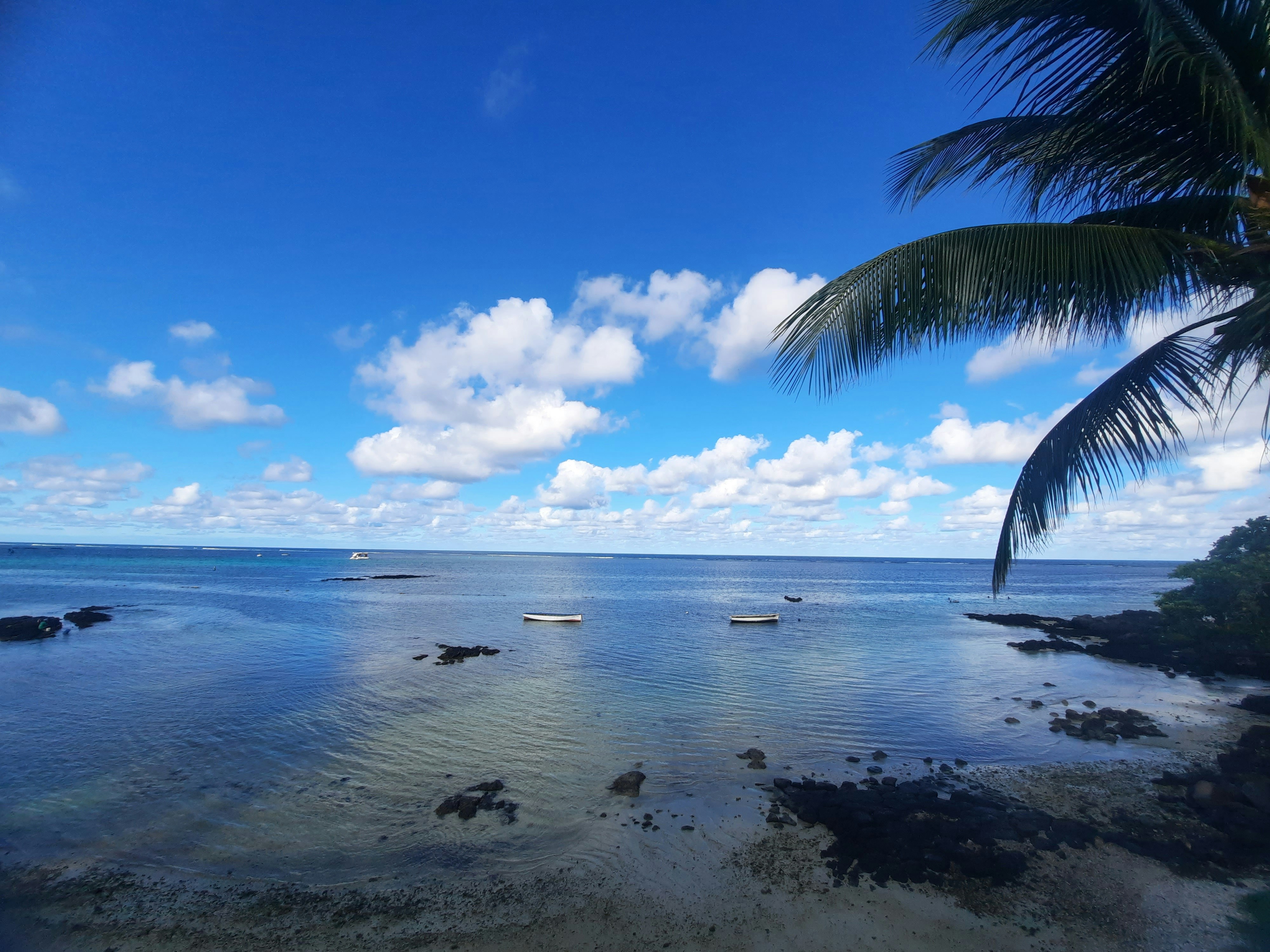 Tonga in 4 Days: Kingdom, Sea, and Living Tradition