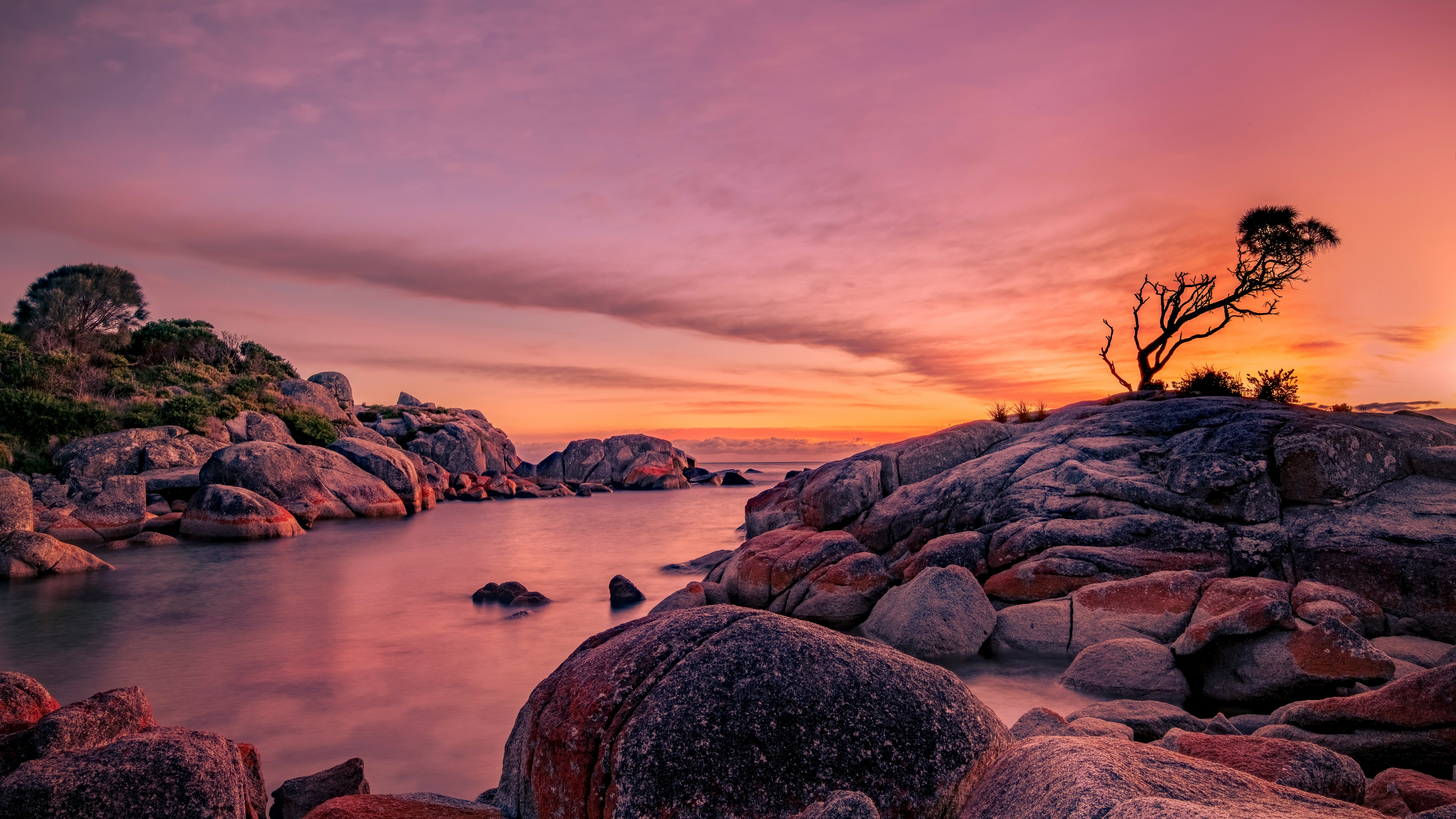 Tasmania in 5 Days: Isolation, Weather, and Attention