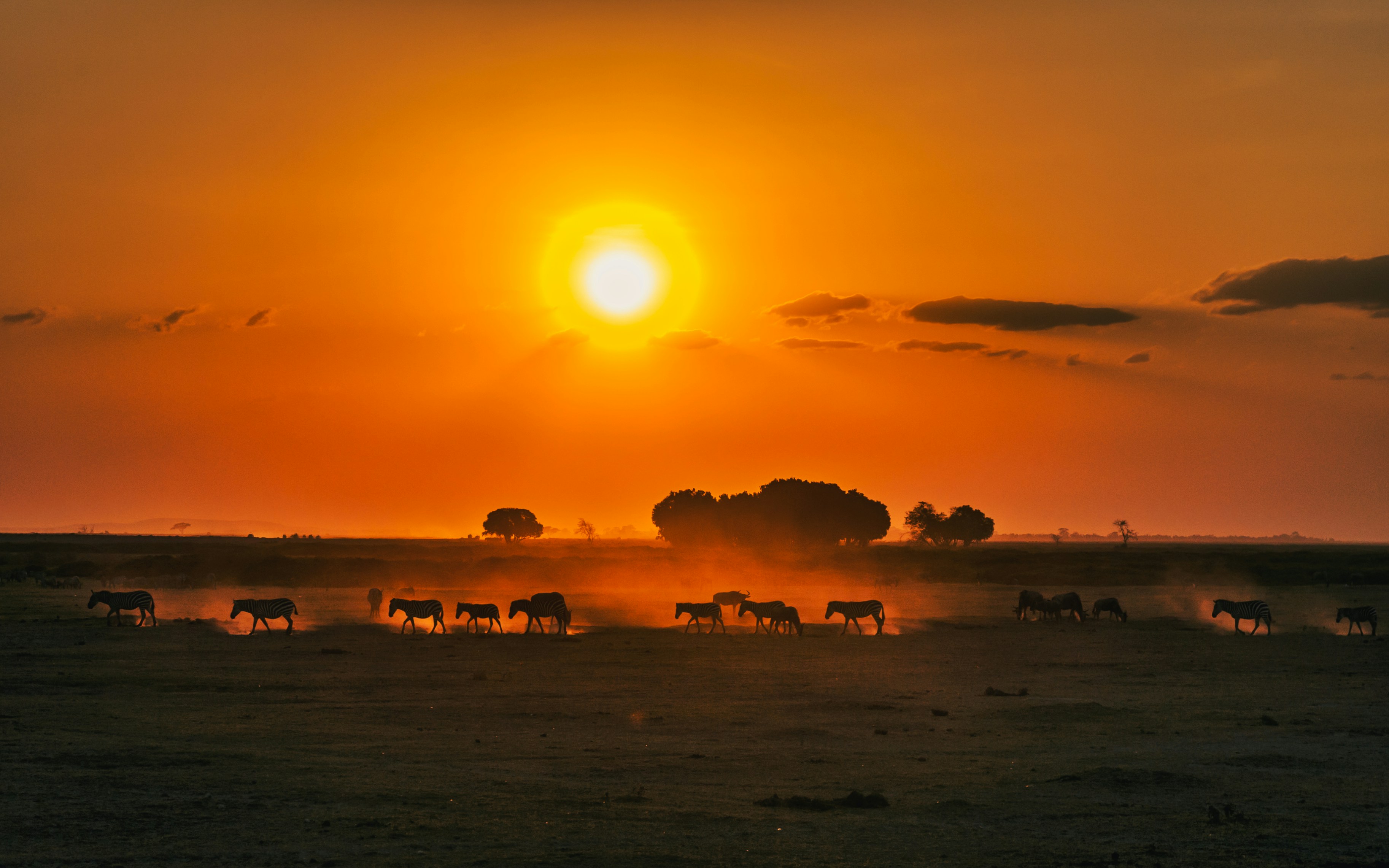 Kenya in 5 Days: Horizon, Land, and Shared Movement